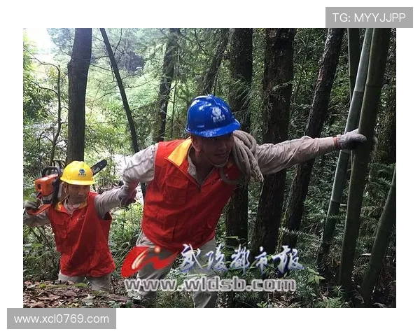 重庆攀岩队如何通过控制革新提升竞技水平与团队协作能力